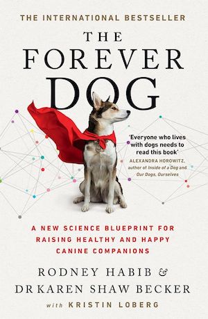 The Forever Dog cover
