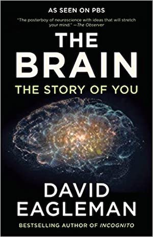 The Brain: The Story of You cover